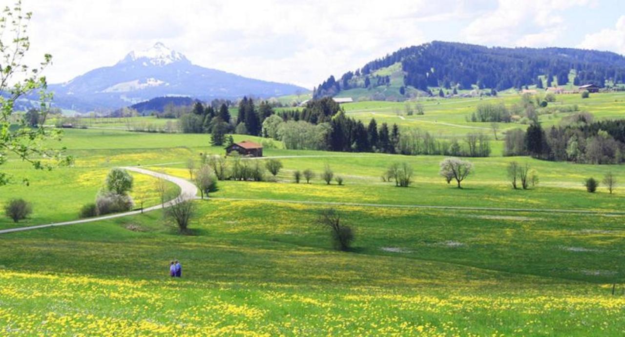 Haus Bergblick Διαμέρισμα Oy-Mittelberg Εξωτερικό φωτογραφία